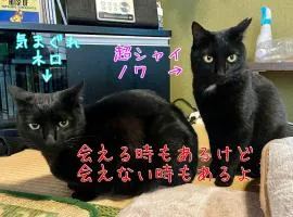 民宿とランチ大ちゃんち