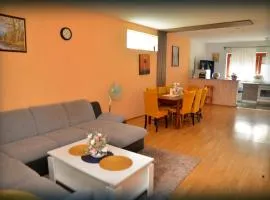 Lovely apartment Anka on the river Danube Vukovar