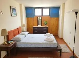 Comfortable Apartment near Siena Historic Centre