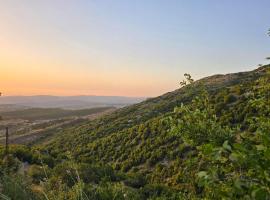 Korkyra Apartments, Hotel in Kavos