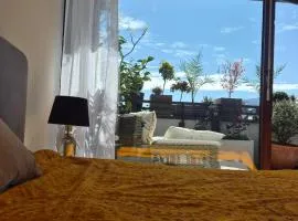 Sunny Terrace Oasis with Mont Blanc View in Central Geneva