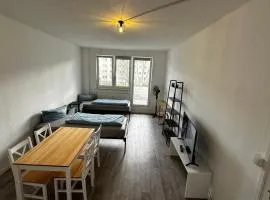 Monteurzimmer und Ferienwohnung Halle, Zentral, Modern