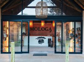 The Beehive Cabin, Hotel in Rust de Winter