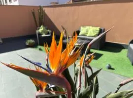 Apartamento Estela