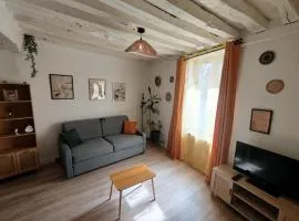 Le Petit Cocon d'Orléans