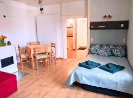 Kantreküla Apartment - lemmikloomasõbralik ja kodune