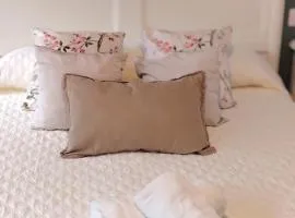 El Viaje a Elba Centro y Playa