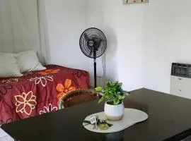 Cabaña Colonia Las Rosas -Tunuyan