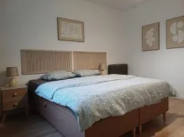 Apartamenty Lubin