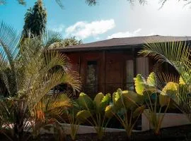 Star Apple Inn