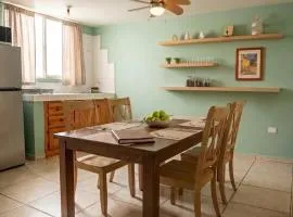 Departamento céntrico en Aguascalientes cerca del Templo San Antonio - DS2