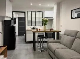 T2 climatisé cosy ,centre-ville , proche plages