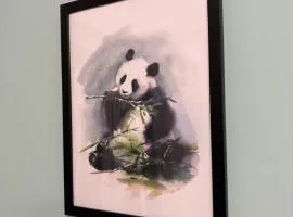 Panda Apartment Plac Solny 4