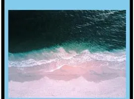 #8Oceanfront 4 Bed 3 Bath Pool Home w Free Dock