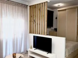 Nikola s house