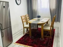 Elegant home near HeathrowAirport fast city access free parking and WiFi