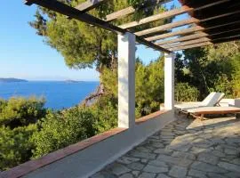 Villa Nikis Skiathos near beach and with sea view