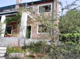 Viste de barro