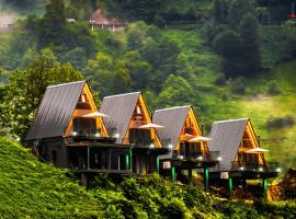 Danzi camping tiny house, hotel in Rize