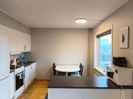 Møllergata apartment