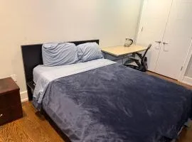 Modern House in Toronto