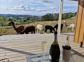 HavenRidge Alpaca Glamping Cabins