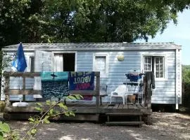 Mobil-home avec animaux admis - 4 pers. - API-1-52-2203