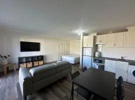 The Studio, RiverLane Mannum