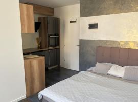 Studio lumineux, viešbutis mieste Šo de Fonas