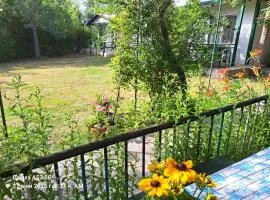 Морска синева