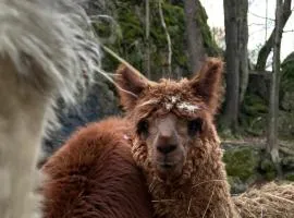 Natur-Aktiv-Hof Thiem