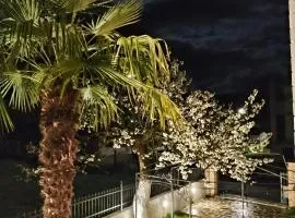 Voula home -IOANNINA-NEOKESARIA