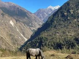 Syabru Nomads Basecamp