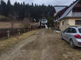 Pensiunea Poieni