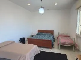 Relax vicino a Mirabilandia con parcheggio