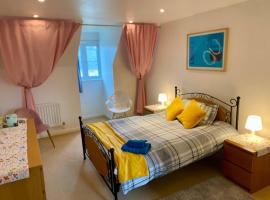Ensuite Room Exeter near Hospital, St Lukes, County Hall, hotell i Exeter