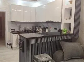 ANY MARY Apart ZONA 0