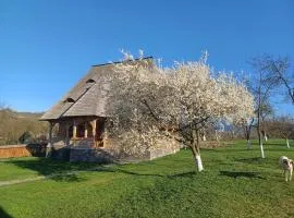 Pensiunea Agroturistica Casa Pribegilor