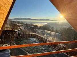 Cabana dintre Mesteceni