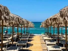 Lotus Serenity Suites