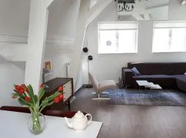 Monumental House in Down Town Leiden