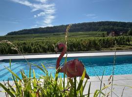 Domaine Wagenbourg Bickel proche de Colmar, hotel di Soultzmatt
