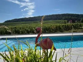Domaine Wagenbourg Bickel proche de Colmar