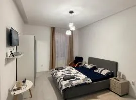 Cozy, centrally located apartment in the heart of Timisoara