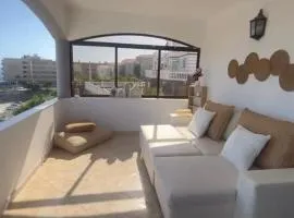 Flamingo 1