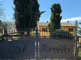 B&B Cal Torello