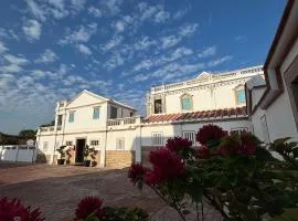 八八金歐王金城洋樓古厝民宿