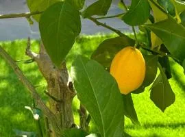 LĀr - the Hidden Gem