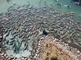 Home in Crystal River FL Water Front Floating Dock