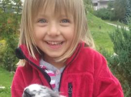 Ciasa Nea, хотел в Longega